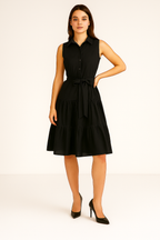 Collared Dress